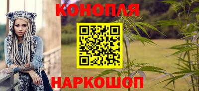 гидра Кимры