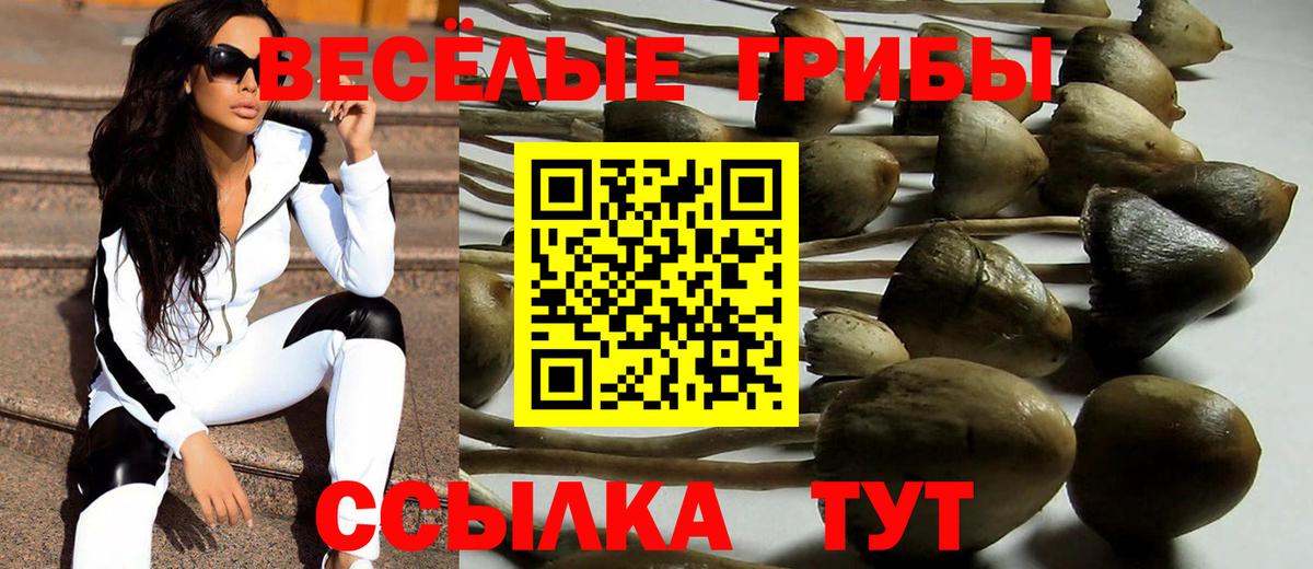 Галлюциногенные грибы Psilocybine cubensis  Псилоцибиновые грибы Cubensis  Вход с VPN  Лабинск 